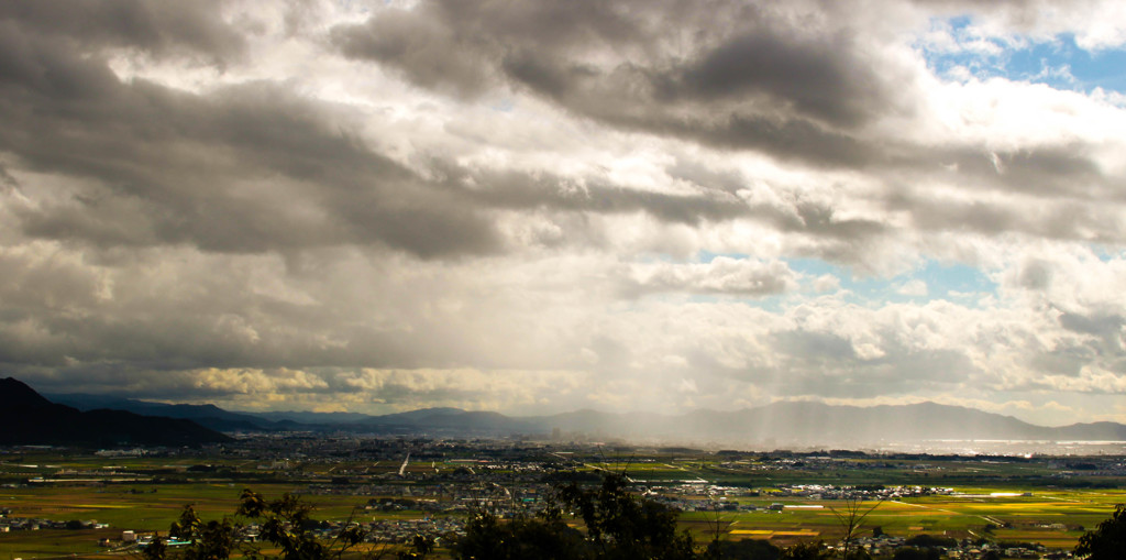 After the rain
