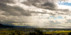 After the rain