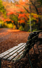 November of bench