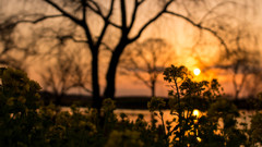 Sunset_20160303
