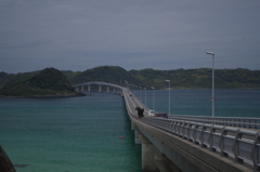 角島大橋の鳥