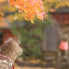 物憂いな狛犬
