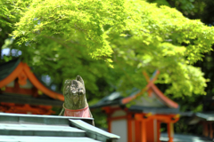 狛犬