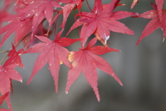 御机神社