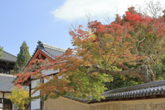 晴れの日