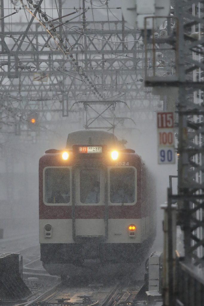 雨中