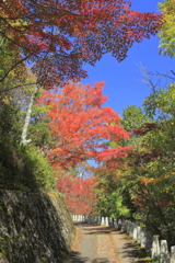 高城山展望台へ