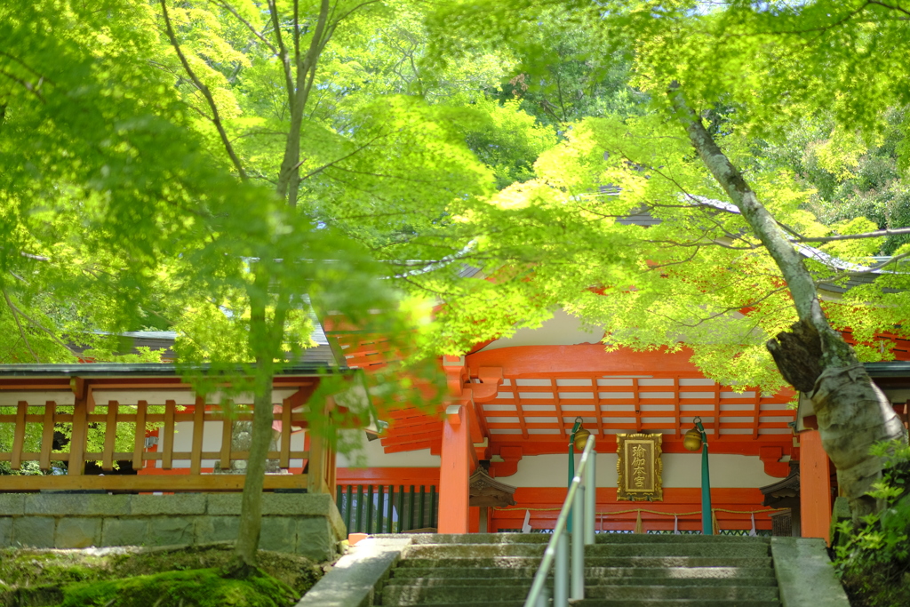 瑜伽神社