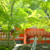 瑜伽神社