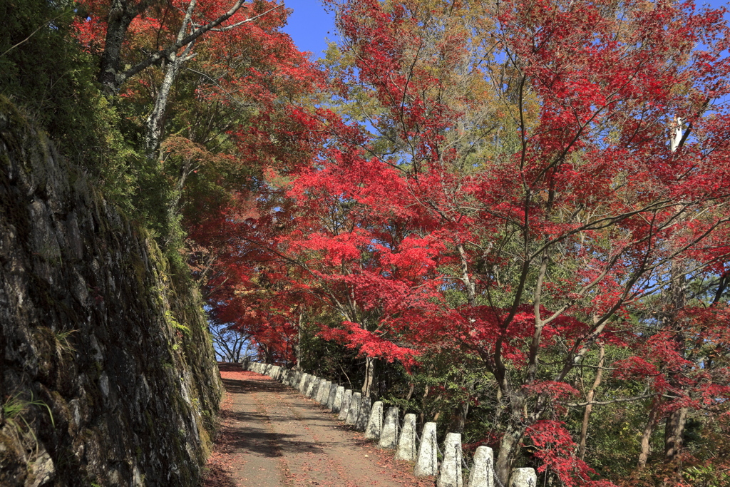 高城山展望台　2