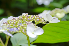 どこを見てます？