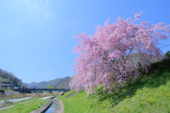 青空へ向けて