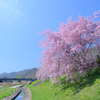 青空へ向けて