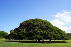 日立