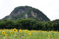 大岩フラワーガーデン