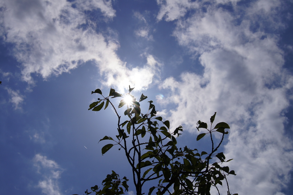 空が近い