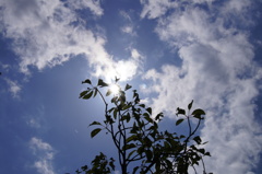 空が近い