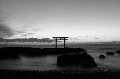 白黒