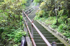 神社の裏手