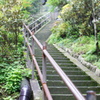 神社の裏手