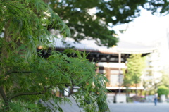 本能寺　境内