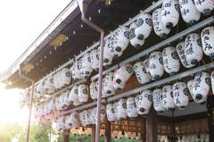 八坂神社　揺れ