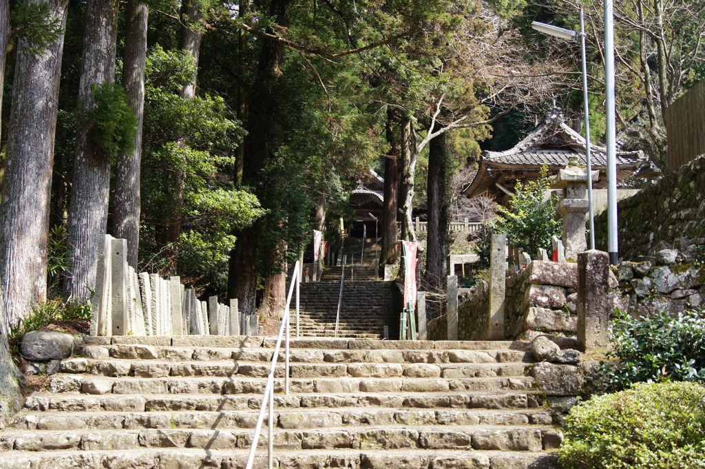 金毘羅寺？