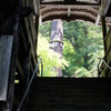 鞍馬寺　杉