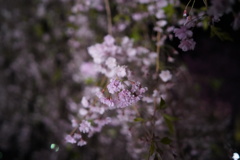 八重