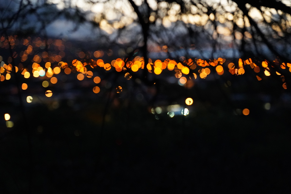 朧
