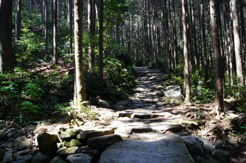 熊野古道