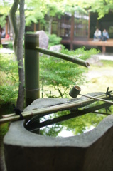 建仁寺　ガラス越し中庭