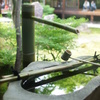 建仁寺　ガラス越し中庭