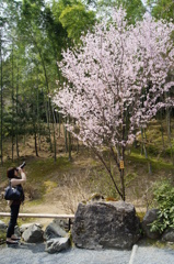 素敵な写真は撮れたかな？