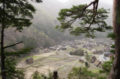 靄がかかっている白川郷