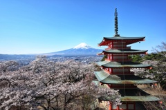 新倉山浅間公園