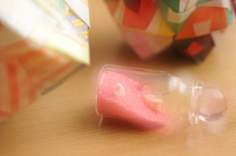 貝殻の夢