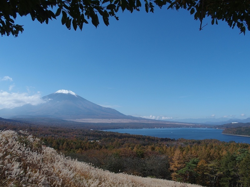 富士山