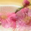 優しく