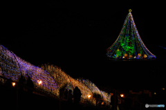 宮ケ瀬の大階段とクリスマスツリー