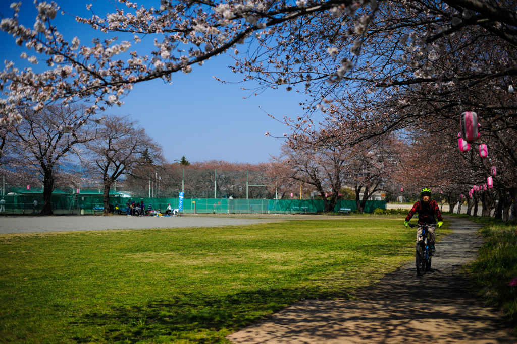 サイクリング