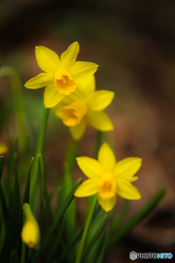 Yellowな時