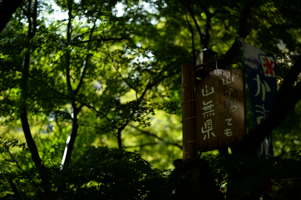 山があっても山無県