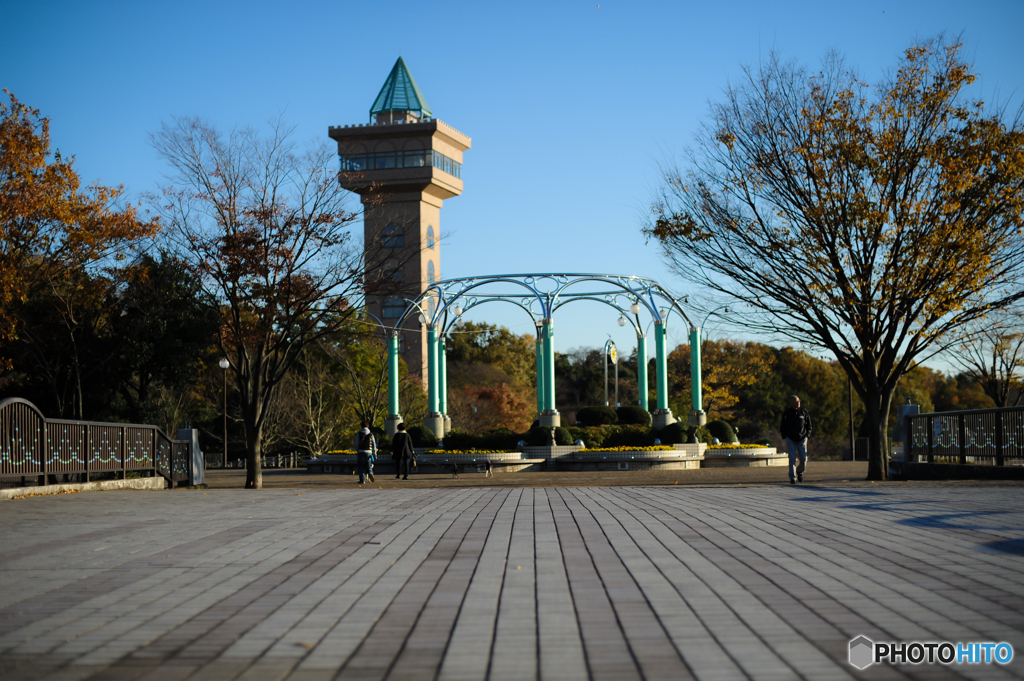 公園の風景