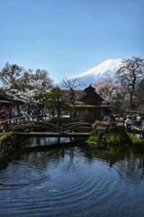 忍野八海の眺め