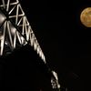 Dinosaur with Moon
