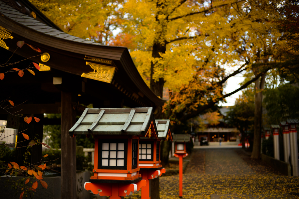 11月の神社
