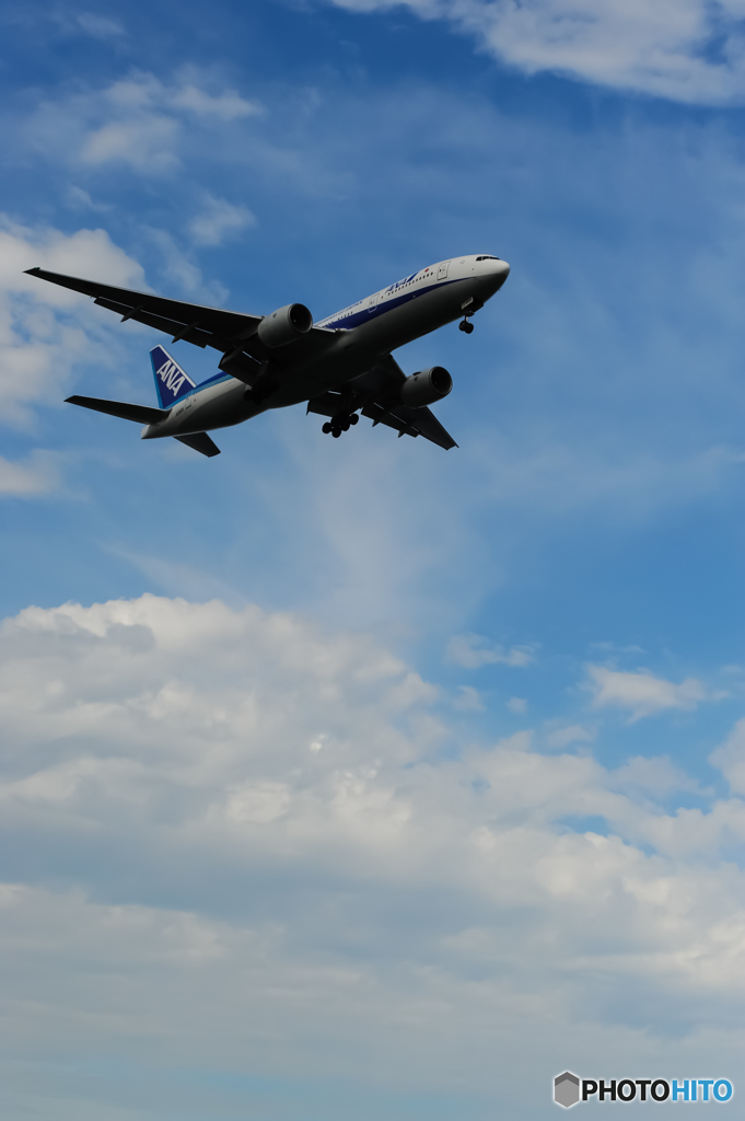 夏の空
