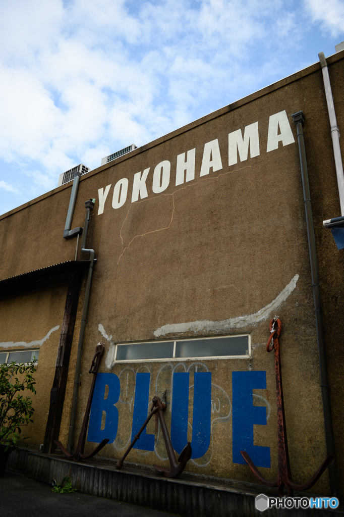 BLUE YOKOHAMA