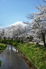 忍野八海の眺め